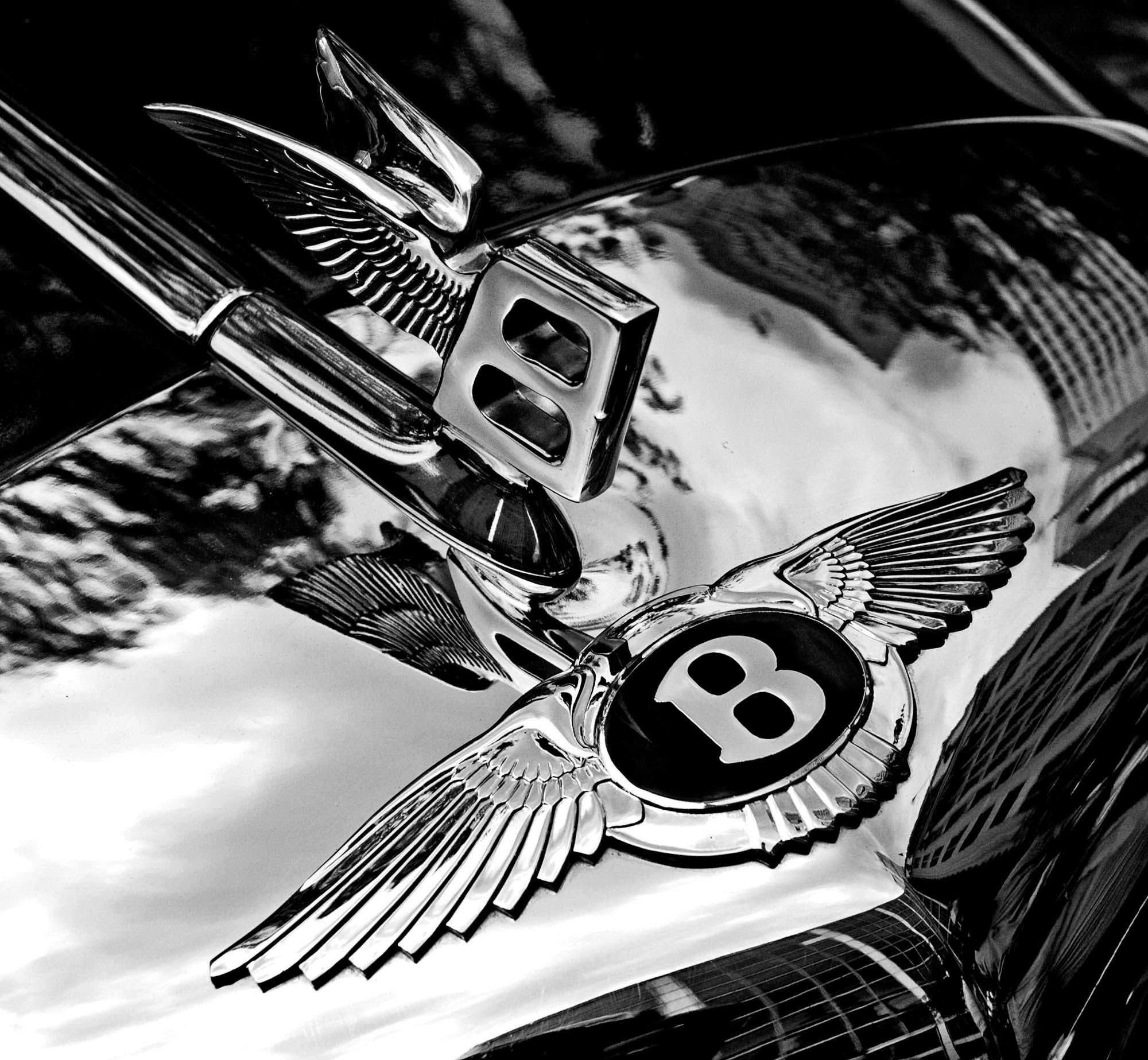 The-Bentley-badge-and-hood-ornament